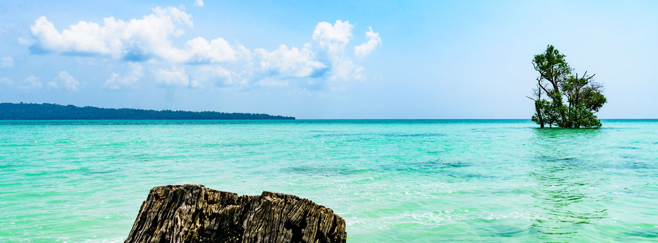 Havelock Island