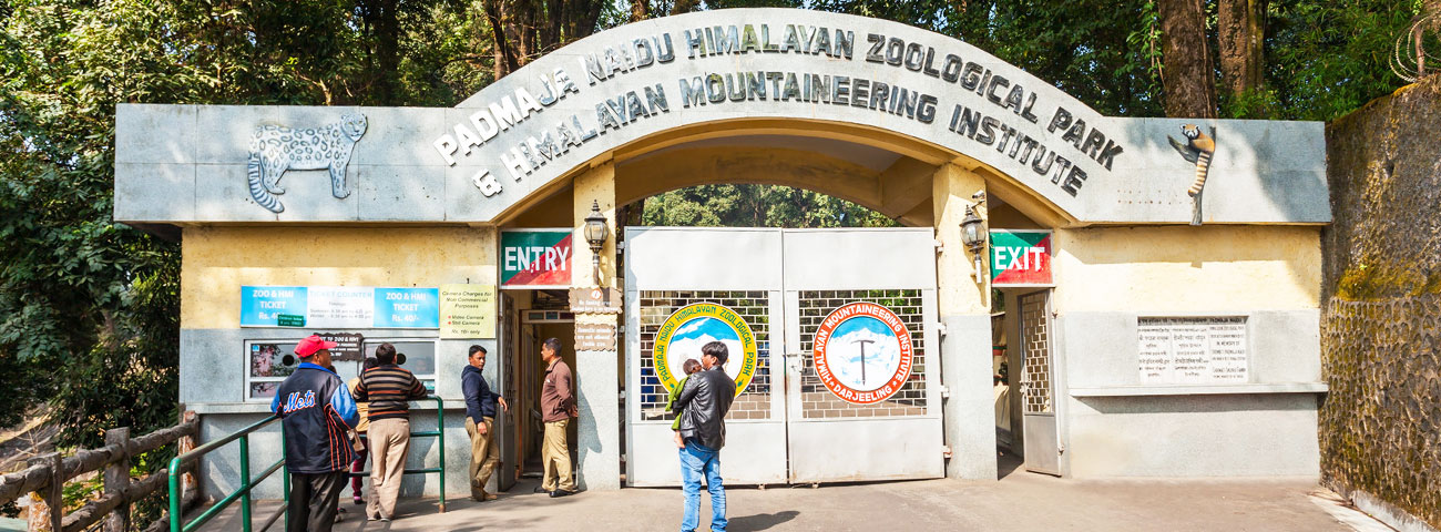 Padmaja Naidu Zoological Park