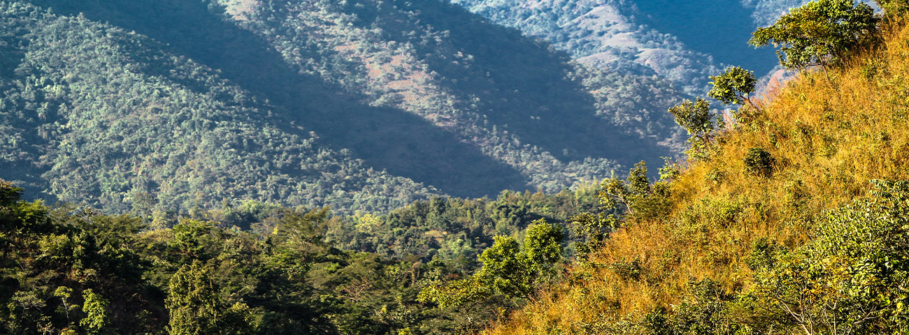 Keibul Lamjao National Park