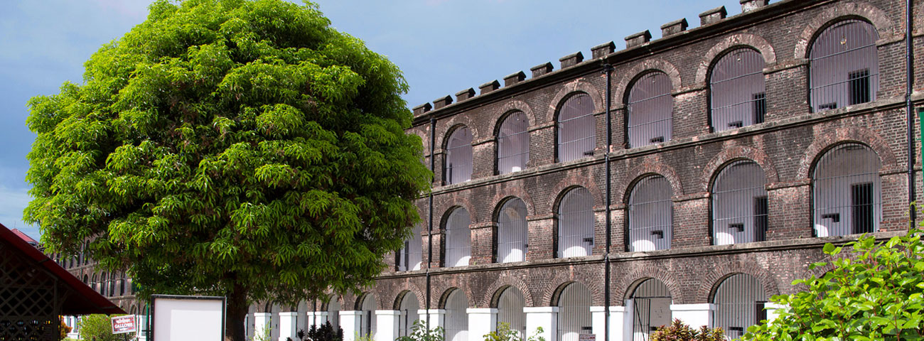 Cellular Jail